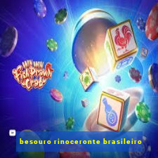 besouro rinoceronte brasileiro